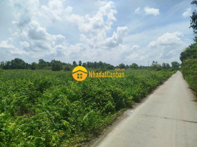 Mặt bằng bán