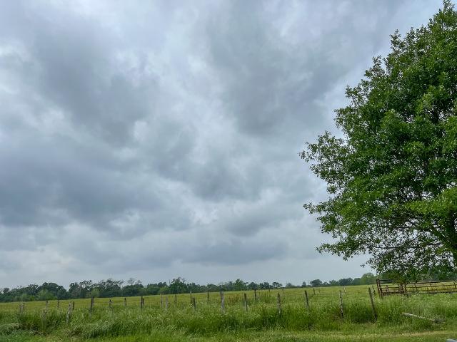 Land for sale in Sorghumville, Lovelady