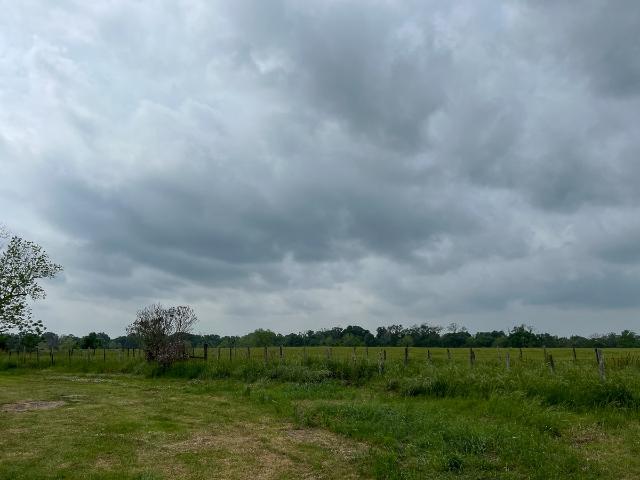 Land for sale in Lovelady, Houston County