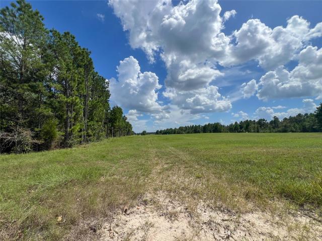 Land for sale in Saron, Groveton