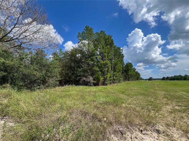 Land for sale in Groveton, Trinity County