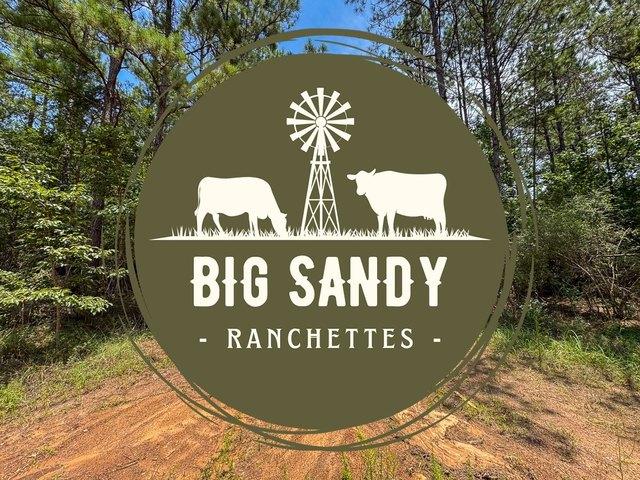 Land for sale in Polk, Texas