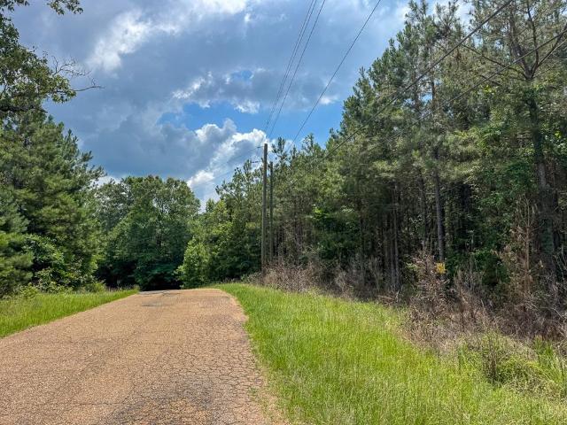 Land for sale in Jena, Louisiana
