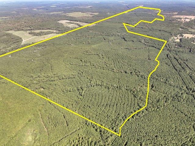 Land for sale in Village Mills, Texas