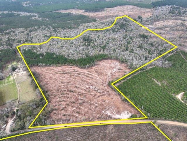 Land for sale in Spurger, Texas