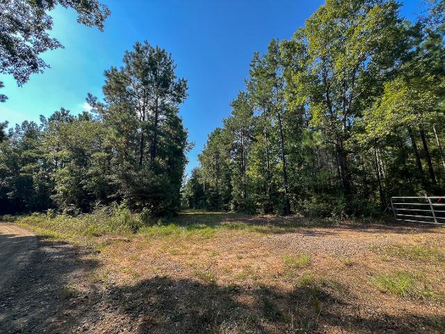 Land for sale in Village Mills, Texas