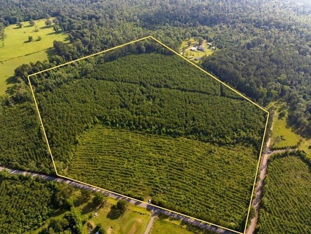 Land for sale in Pitkin, Louisiana