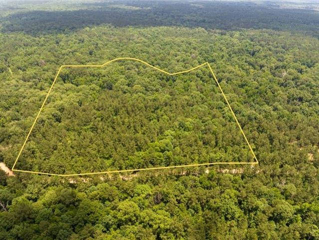 Land for sale in Jonesville, Louisiana