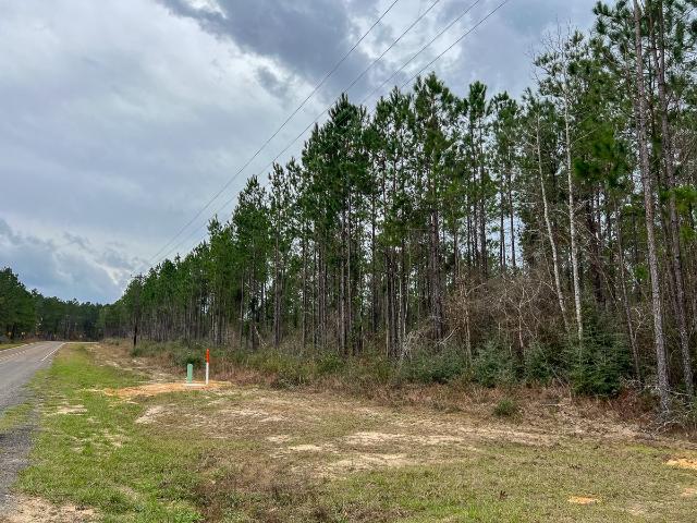 Land for sale in Newton, Texas