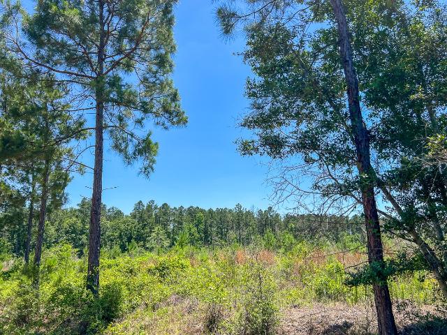 Land for sale in Polk, Texas