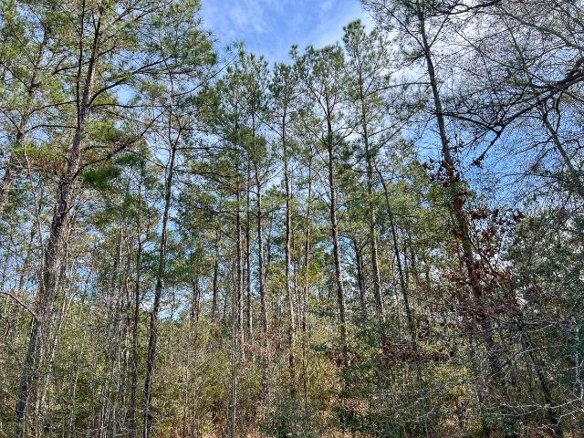 Property for sale in Mauriceville, Texas