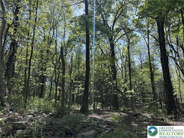 Land for sale in Gilbert, Pennsylvania