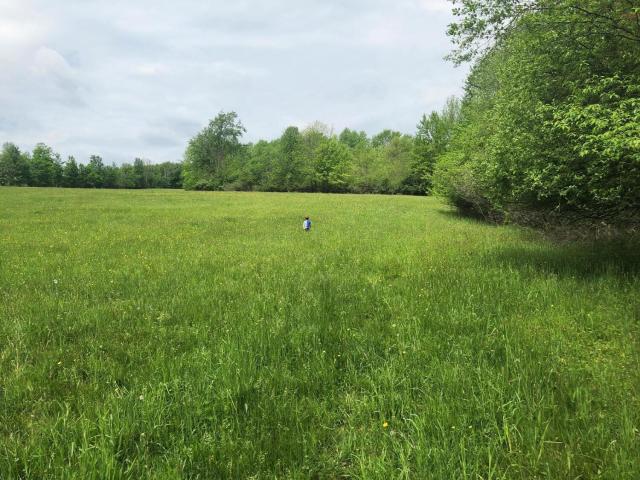 Land for sale in Factoryville, Pennsylvania
