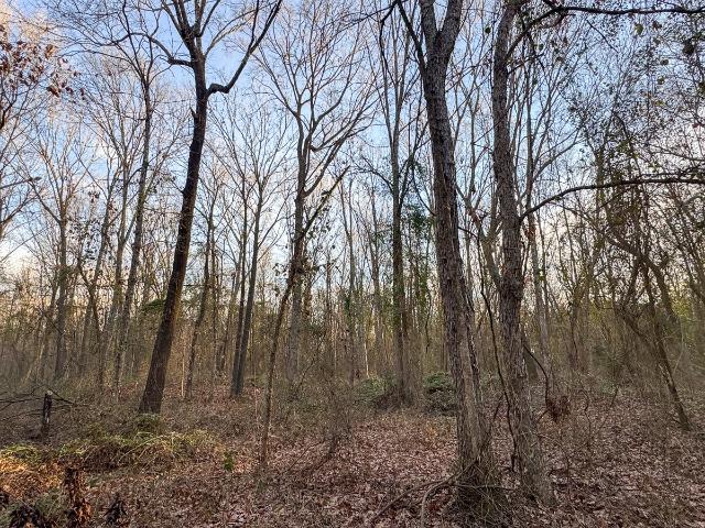 Land for sale in De Kalb, Texas