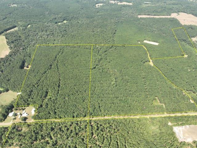 Land for sale in Village Mills, Texas