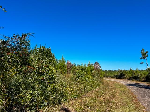 Land for sale in Thicket, Texas