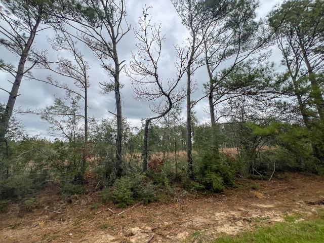 Land for sale in Newton, Texas