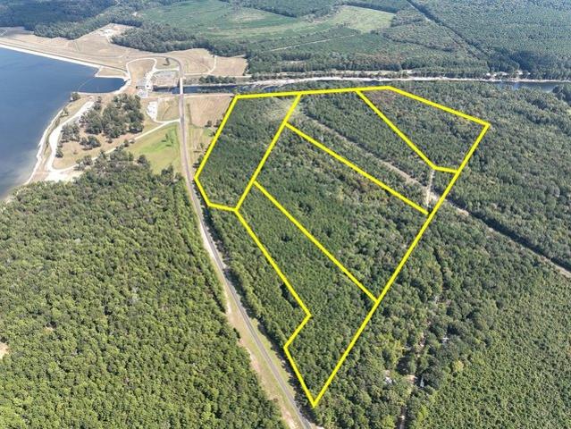 Land for sale in Burkeville, Newton County