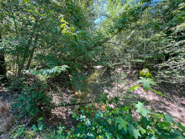 Land for sale in Polk, Texas