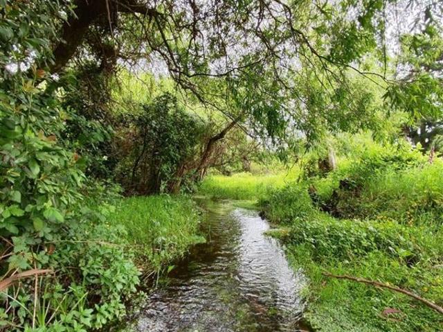 Terreno en venta en Valdivia, Los Ríos