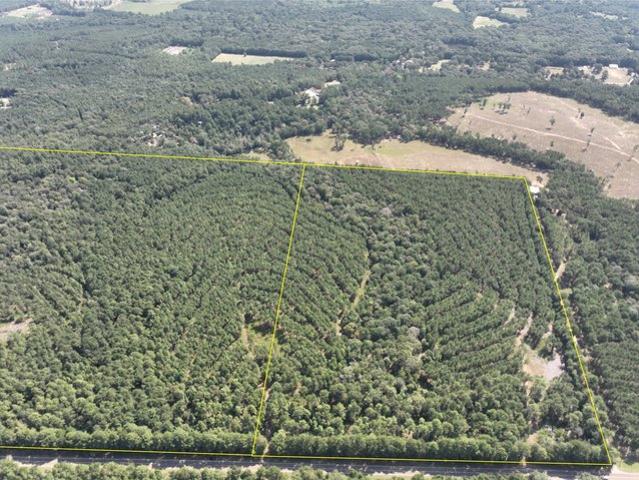 Land for sale in Village Mills, Texas