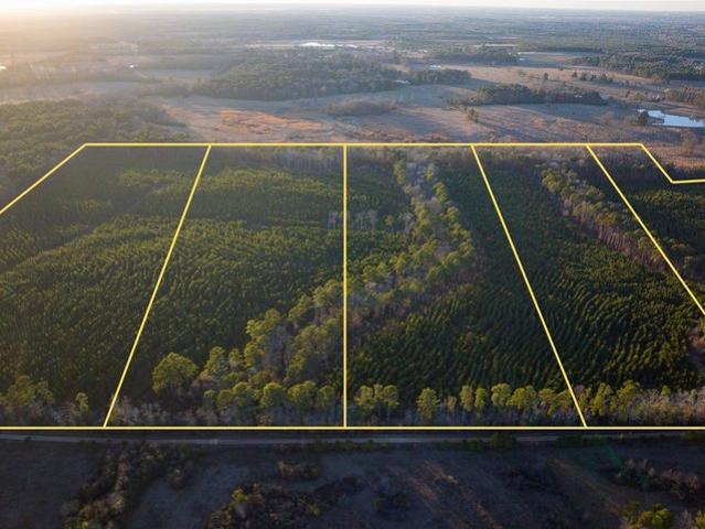 Land for sale in Annona, Texas