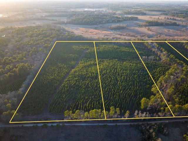 Land for sale in Annona, Texas