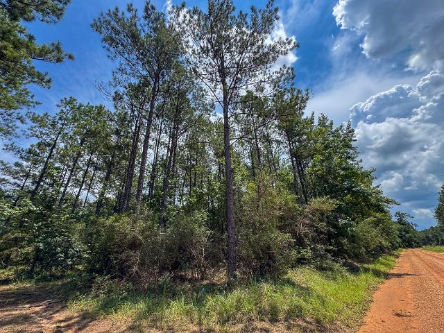 Land for sale in Polk, Texas