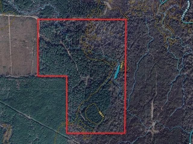 Land for sale in Grayson, Louisiana