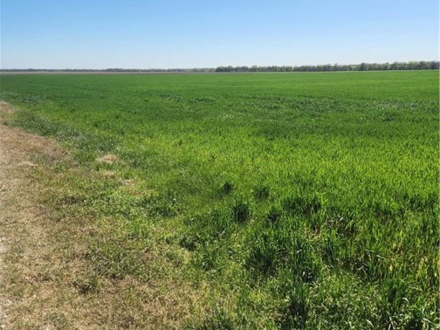 Land for sale in Ellis, Texas