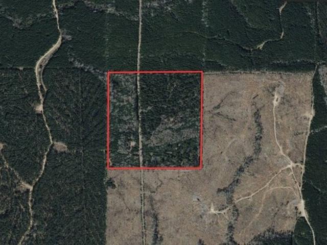 Land for sale in Grayson, Louisiana
