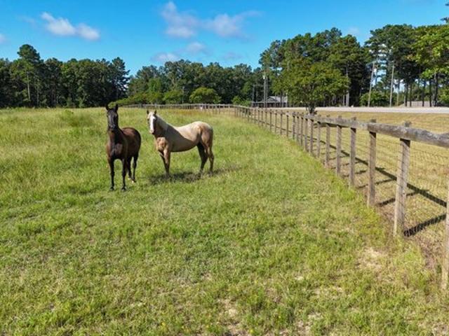 Land for sale in Grayson, Louisiana