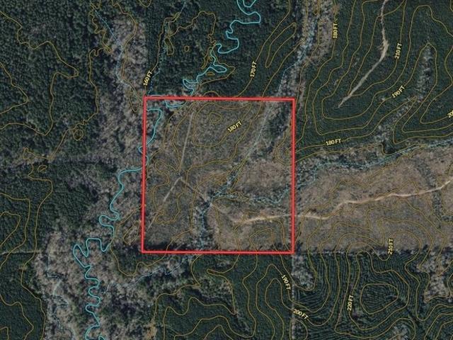 Land for sale in Winn, Louisiana