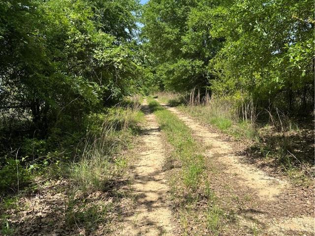 Land for sale in Teague, Texas