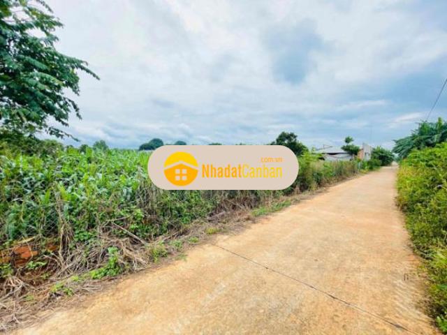 Mặt bằng bán