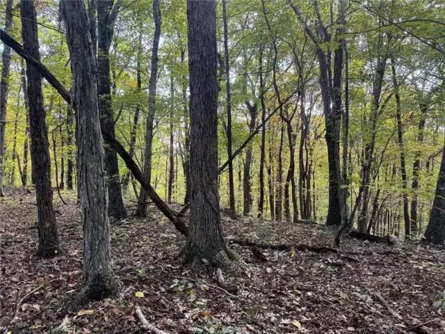 House for rent in Ark