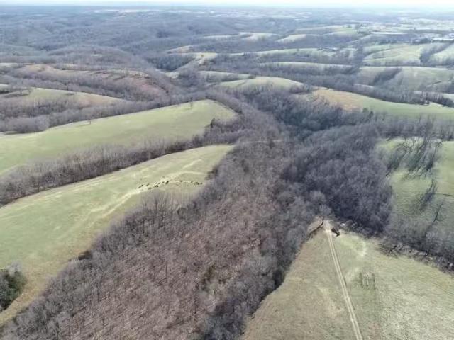 House for rent in Ark