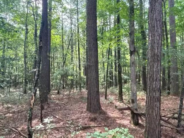 House for rent in Ark