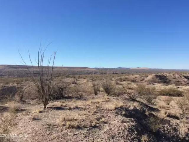 House for rent in Marana