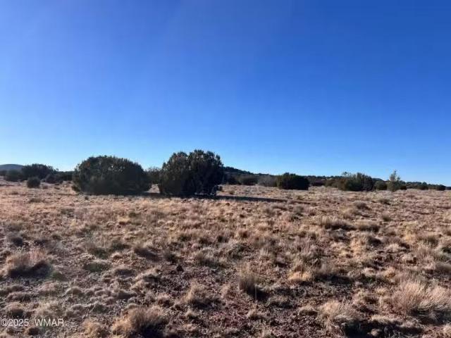 House for rent in Navajo, Arizona
