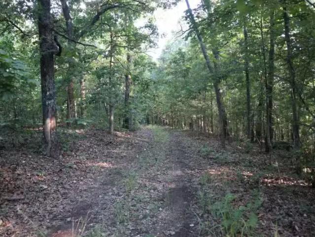 House for rent in Batesville