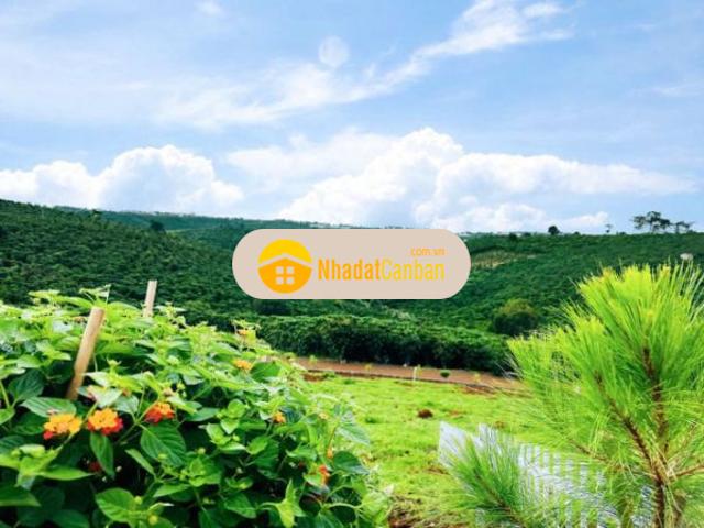 Mặt bằng bán