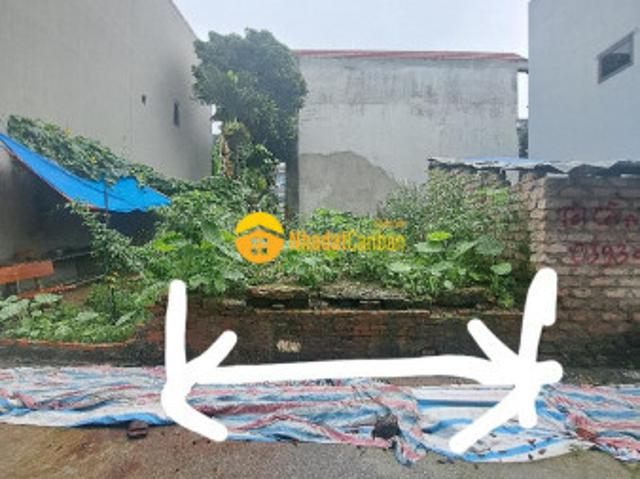 Mặt bằng bán