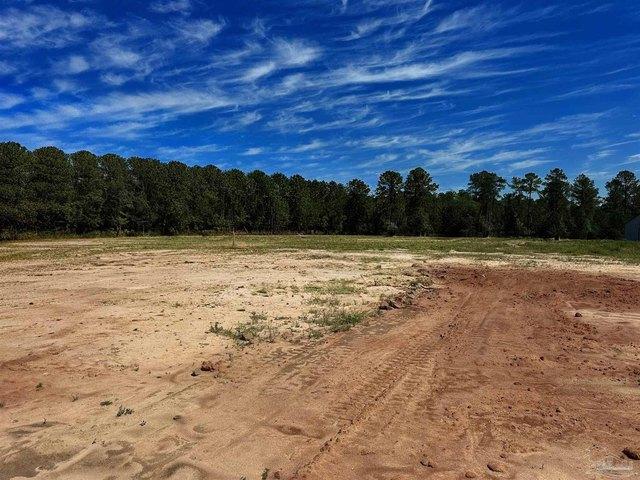 Land for sale in Red Level, Alabama