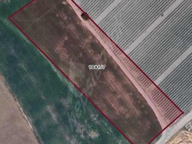 Beypazari, Ankara içerisinde satılık Arsa
