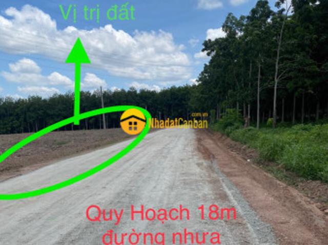Mặt bằng bán