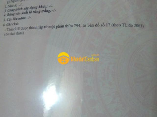 Mặt bằng bán