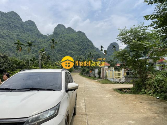 Mặt bằng bán