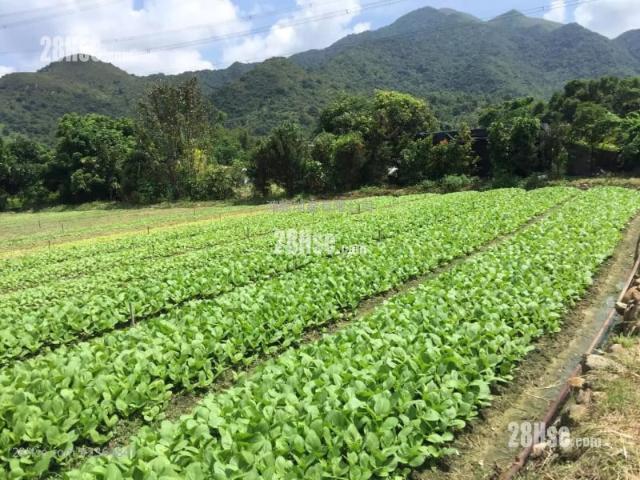 提供 出售 的物件。