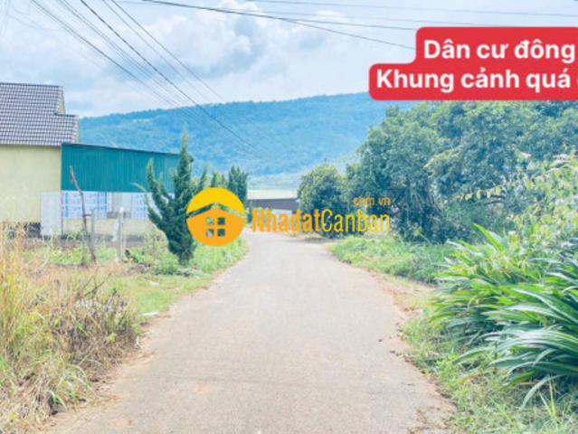 Mặt bằng bán